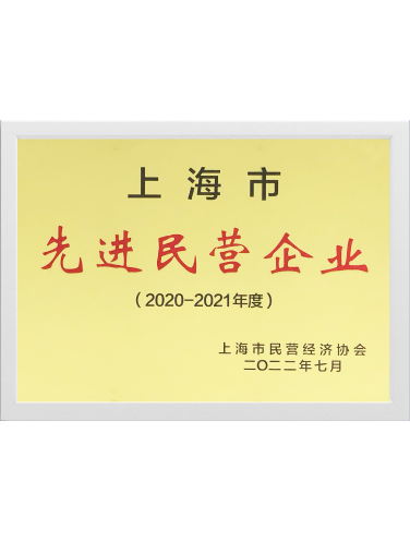 2020-2021年度先进民营企业