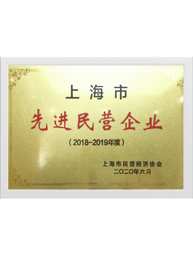 2018-2019年度先进民营企业