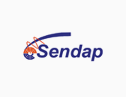 sendap precision electronics pvt ltd